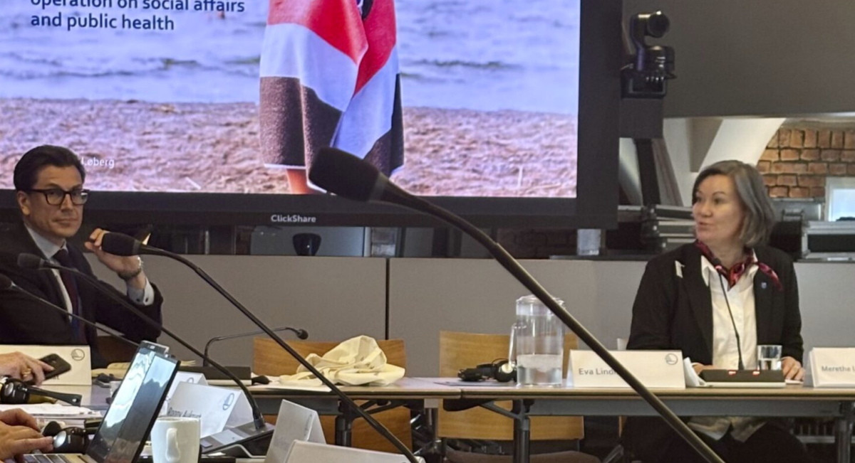 Talare som presenterar på Stortinget