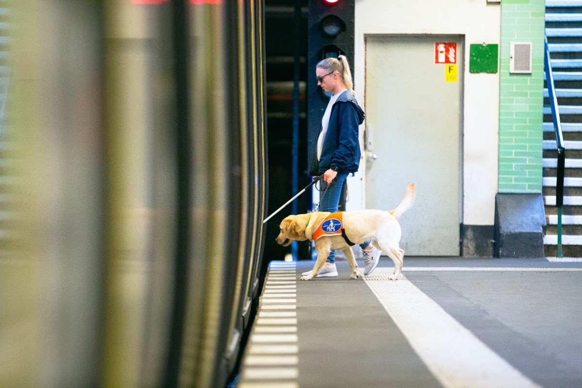 Kvinna med vit käpp och ledarhund stiger på tunnelbana